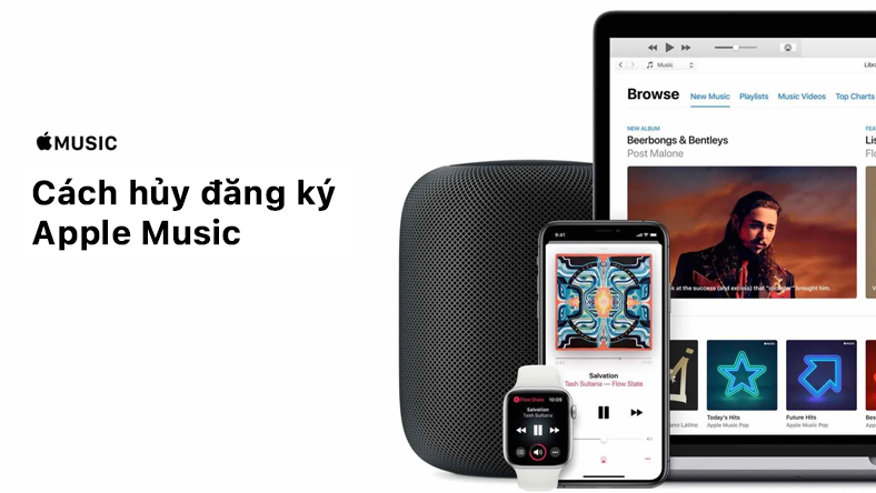 Cách hủy đăng ký gói Apple Music