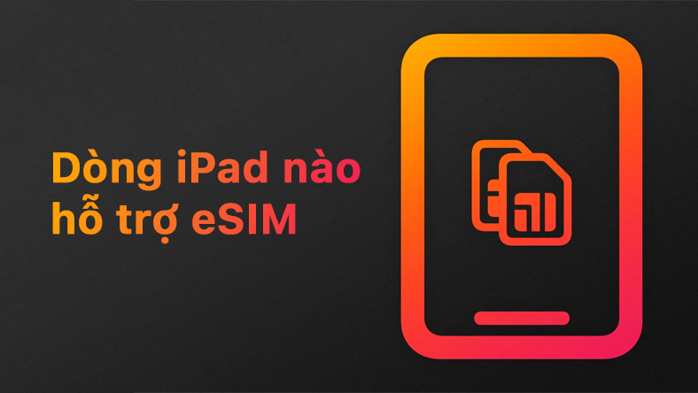 Máy tính bảng iPad nào có hỗ trợ eSIM hiện nay