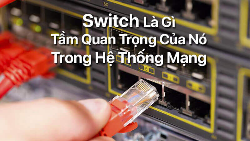 Switch là gì, tầm quan trọng của nó trong hệ thống mạng