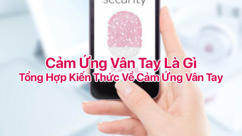 Cảm ứng vân tay là gì, tổng hợp kiến thức về cảm ứng vân tay