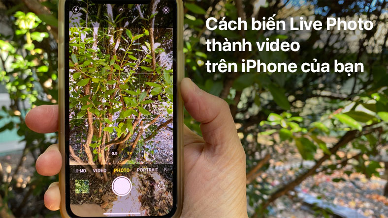 Cách biến Live Photo thành video trên iPhone của bạn
