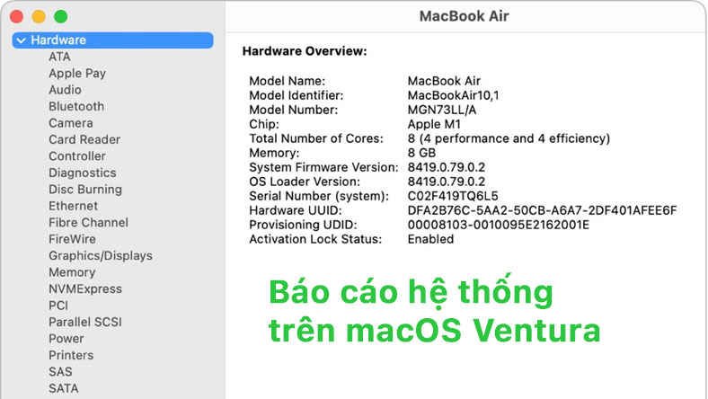 Cách truy cập báo cáo hệ thống trên macOS Ventura