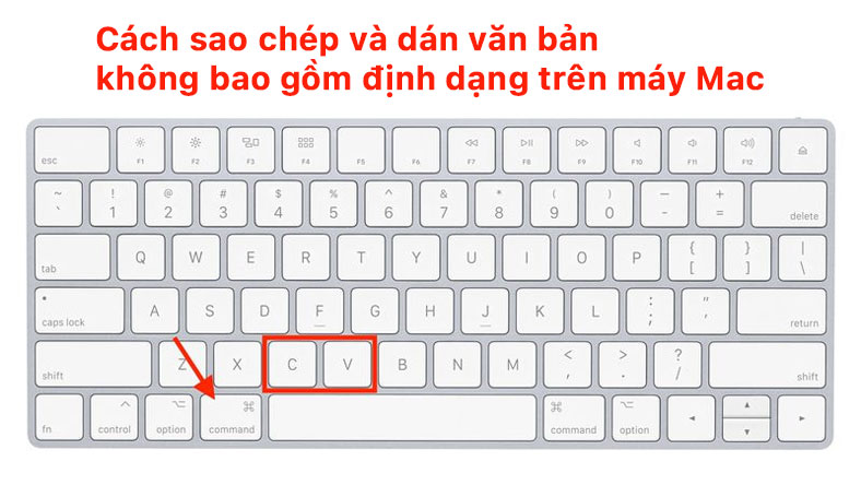 Cách sao chép và dán văn bản không bao gồm định dạng trên máy Mac