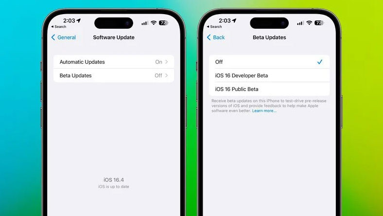 Cách chọn tham gia phần mềm Apple Developer Beta trên iPhone và iPad