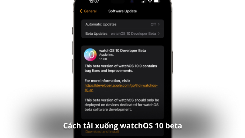 Cách tải xuống watchOS 10 beta trên Apple Watch của bạn