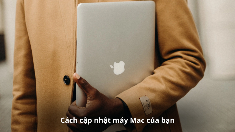 Cách cập nhật máy Mac của bạn