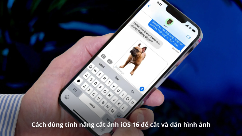Cách dùng tính năng cắt ảnh iOS 16 để cắt và dán hình ảnh
