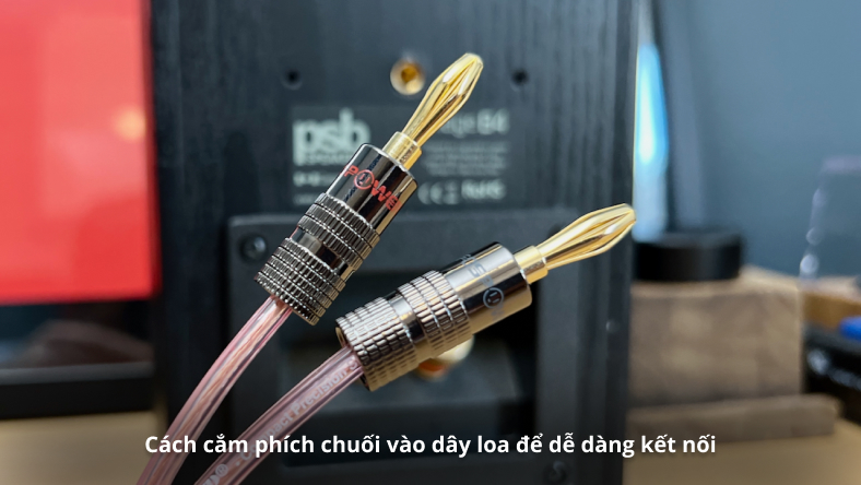 Cách cắm phích chuối vào dây loa để dễ dàng kết nối