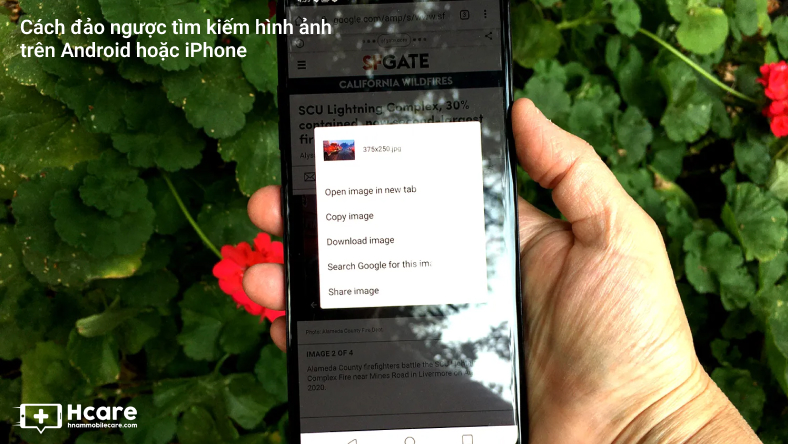 Cách đảo ngược tìm kiếm hình ảnh trên Android hoặc iPhone