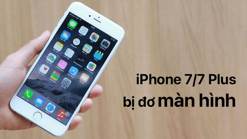 iPhone 7 bị loạn liệt cảm ứng, đơ màn hình: Nguyên nhân và cách khắc phục