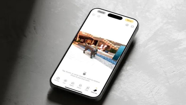 Cách sử dụng công cụ Clean Up trong iOS 18 để xóa các đối tượng khỏi ảnh của bạn