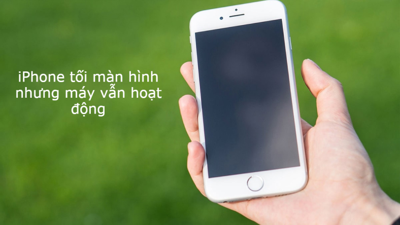 Màn hình iPhone 6 không hiển thị: Nguyên nhân và cách khắc phục hiệu quả