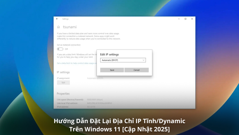 Hướng Dẫn Đặt Lại Địa Chỉ IP Tĩnh/Dynamic Trên Windows 11 [Cập Nhật 2025]