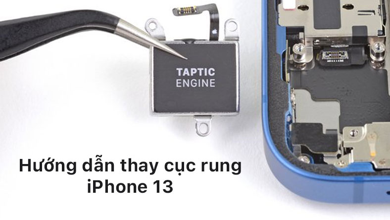 Hướng dẫn thay cục rung iPhone 13