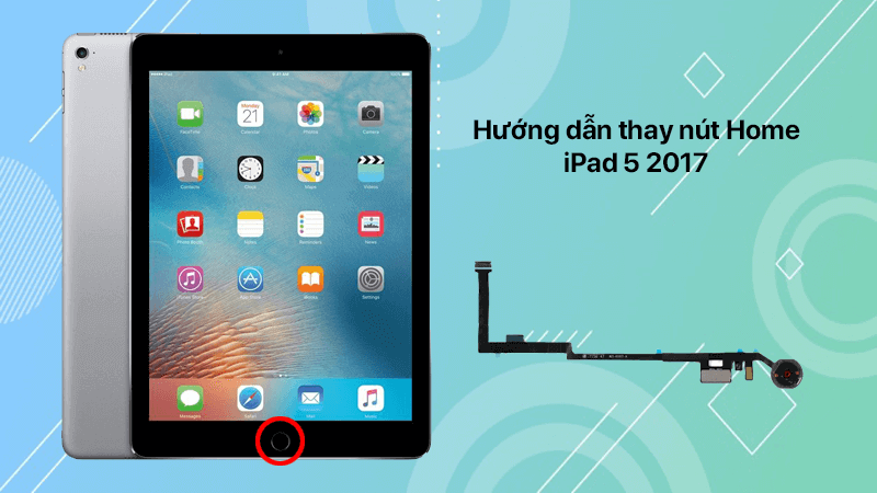 Hướng dẫn thay nút Home iPad 5 (2017)