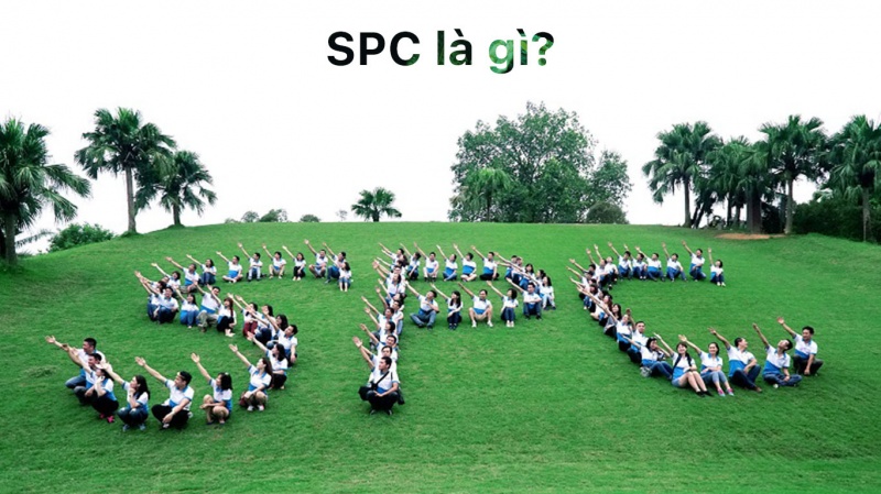 SPC là gì? Những điều về SPC mà bạn cần biết
