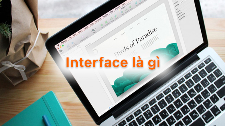 Interface là gì? Mục đích sử dụng của Interface