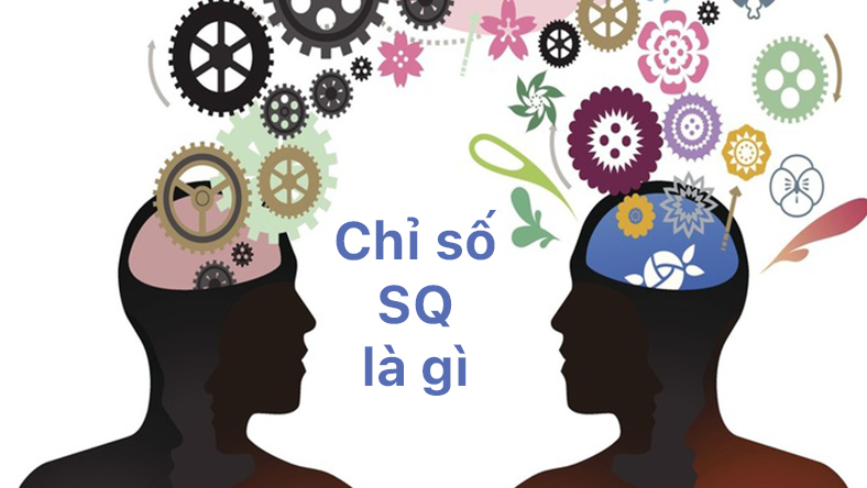 Chỉ số SQ là gì? Cách nhận biết người có chỉ số SQ cao
