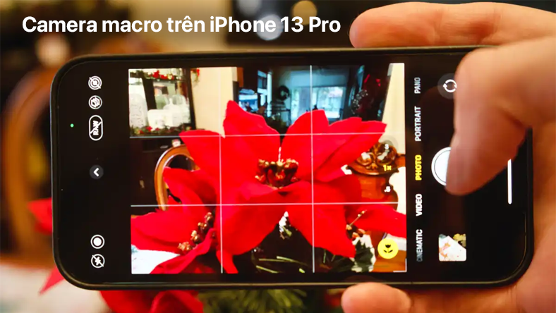 Cách làm chủ camera macro trên iPhone 13 Pro