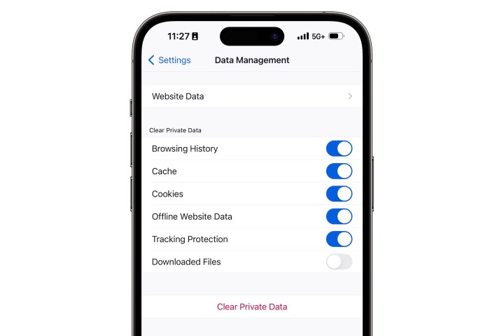 iPhone-Firefox-Data-Management-screen