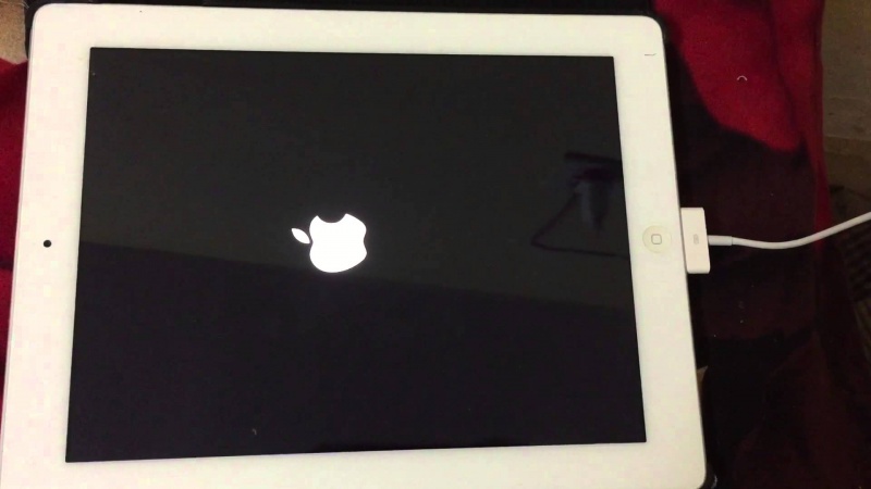 Lỗi iPad bật nguồn chỉ hiện logo xong lại tắt
