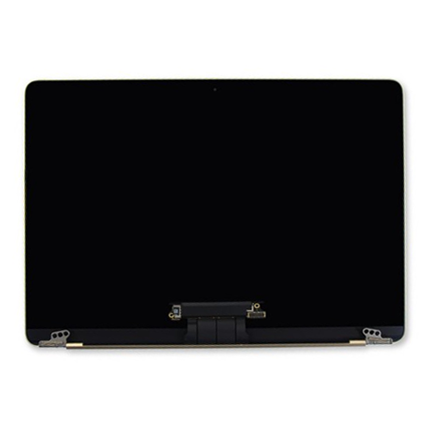 Thay màn hình MacBook 12-inch 2016 A1534 EMC 2991