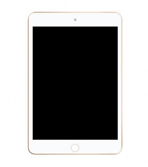 Màn hình iPad Mini 5 (2019)